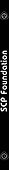 SCP Foundation. Secure. Contain. Protect. Книга 1 - 2