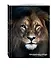 Блокнот настоящего хищника (Лев). А5 - 1
