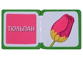 Мини-книжки ЭВА. Что здесь растёт? На клумбе - 1