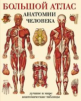 Большой атлас  анатомии человека