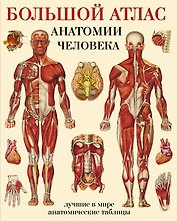 Большой атлас  анатомии человека
