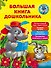 Большая книга дошкольника - 0