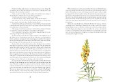 Pride and Prejudice: Illustr by Marjolein Bastin (Jane Austen) Гордость и предубеждение с илл М. Бастин (Джейн Остин)/ Книги на английском языке - 2