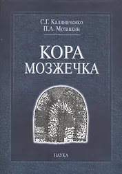 Кора мозжечка