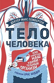Тело человека. Как работает наш удивительный организм