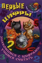 Первые цифры. Знакомимся с цифрами, учимся считать