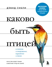 Каково быть птицей: о полетах и гнездовании, кормлении и пении. Как и чем живут самые известные птицы на земле