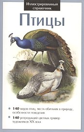 Птицы