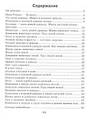 Человек и мир. 1 класс. Рабочая тетрадь - 1