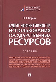 Аудит эффективности использования государственных ресурсов. Учебник