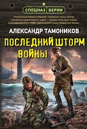 Последний шторм войны