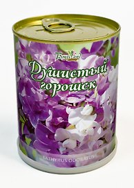 Цветок в банке "Душистый горошек" (410459)