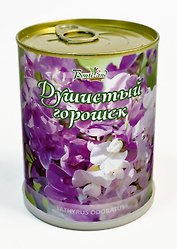 Цветок в банке "Душистый горошек" (410459)