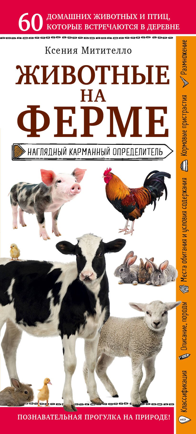 

Животные на ферме. Наглядный карманный определитель