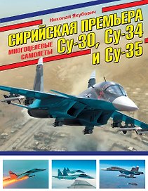 Сирийская премьера. Многоцелевые самолеты Су-30, Су-34 и Су-35