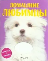 Домашние любимцы
