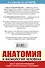 Анатомия и физиология человека. Учебное пособие для студентов учреждений среднего профессионального образования - 1