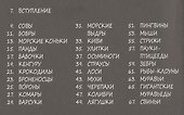 Милые истории о животных в картинках - 1