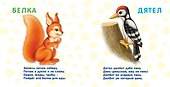 Книжки-картонки. Лесные животные - 1