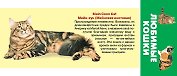 Любимые кошки. Карточки