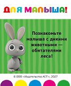 Полный набор для развития ребёнка. 12 книг в коробке на магнитной застёжке - 1