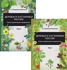 Деревья и кустарники России: Иллюстрированный определитель. В двух томах