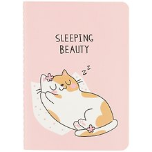 Записная книжка «Sleeping beauty» А7, 30 листов в клетку, сшивка