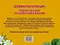Готовим руку к письму: пишем и рисуем по клеточкам и точкам - 1