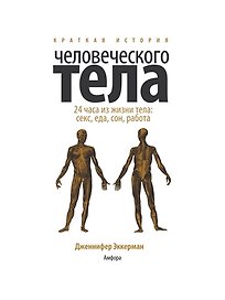 Краткая история человеческого тела. 24 часа из жизни тела: секс, еда, сон, работа