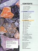 Pocket Eyewitness Rocks and Minerals - 1