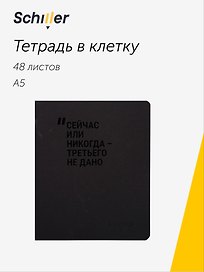 Тетрадь общая «Сейчас или никогда-третьего не дано», 48 листов в клетку, А5 - Schiller