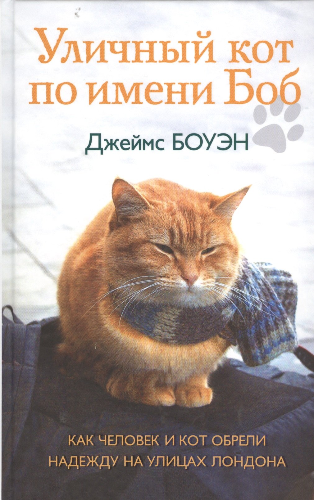 

Уличный кот по имени Боб. Как человек и кот обрели надежду на улицах Лондона