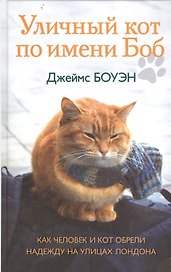 Уличный кот по имени Боб. Как человек и кот обрели надежду на улицах Лондона