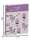 Тетрадь на кольцах «Funny cats» 120 листов в клетку, А5, сменный блок - Доминанта ББП - 1