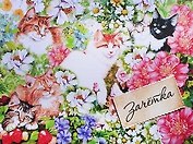 Обложка для зачетной книжки Кошки 15,5*12 см (631213)