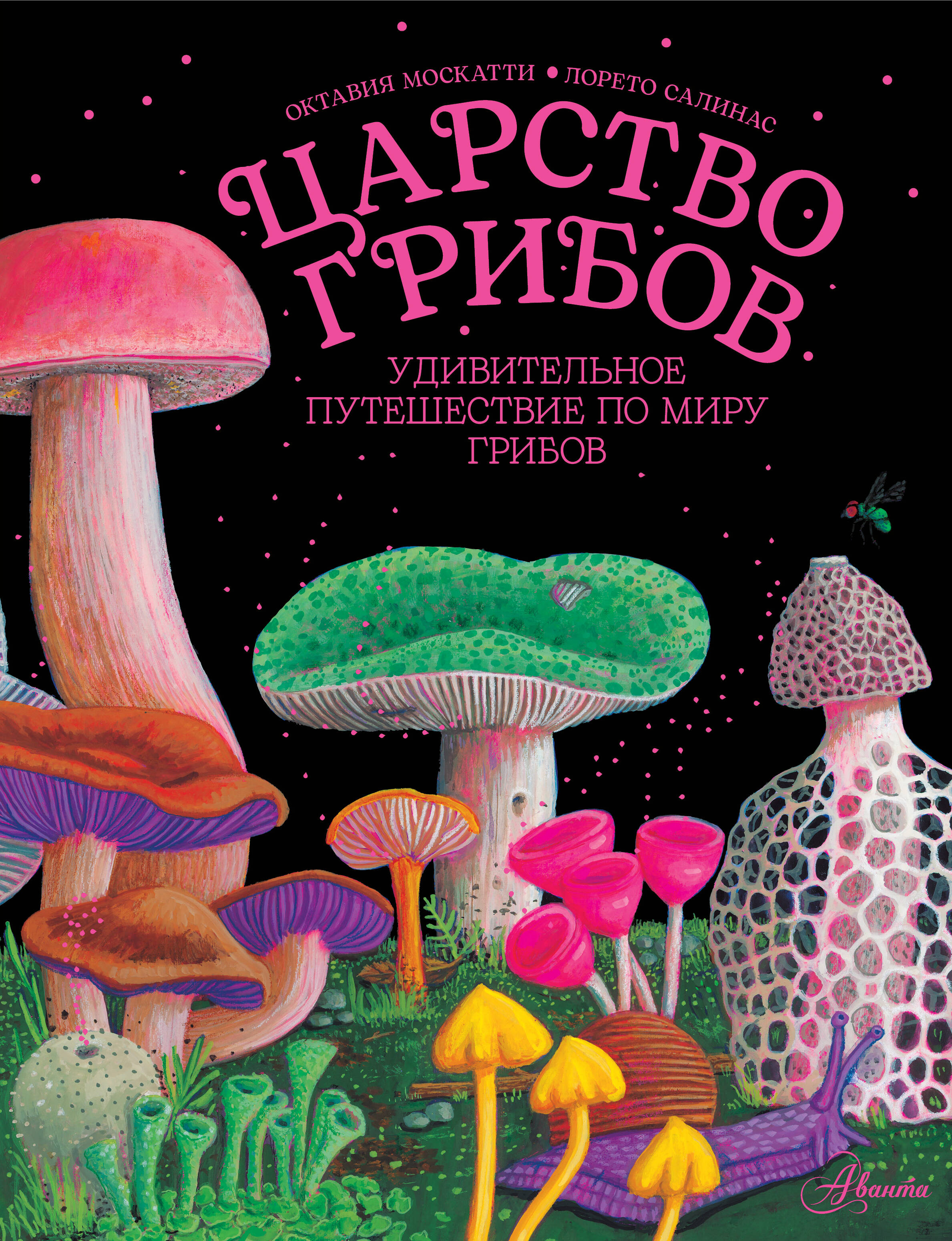 

Царство грибов