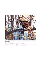Набор для творчества ТМ Белоснежка Живопись на холсте Сова 30*40см 218-CE
