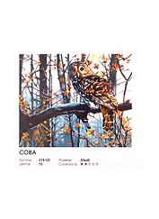 Набор для творчества ТМ Белоснежка Живопись на холсте Сова 30*40см 218-CE