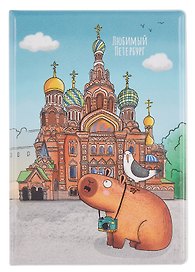 Обложка для паспорта СПБ Любимый Петербург Фото на память Храм Спаса на Крови (ПВХ бокс) (ОП2025-442)