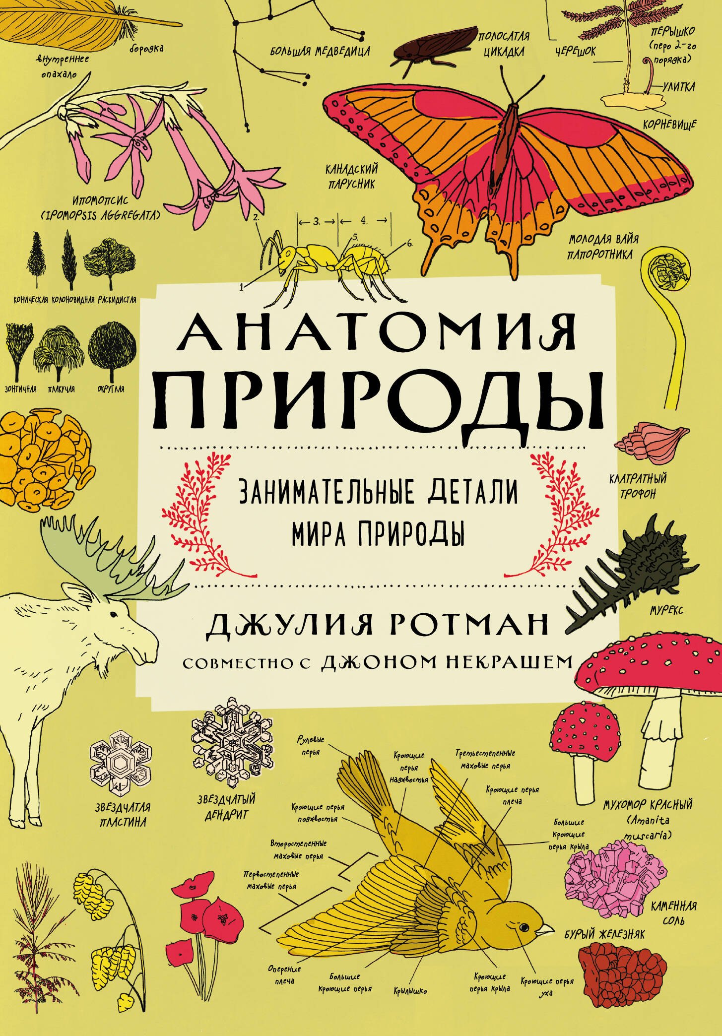

Анатомия природы. Занимательные детали мира природы
