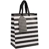 Пакет А5 23*18*10 "Zebra" нейтр., бум.мат.ламинат