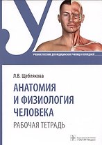 Анатомия и физиология человека. Рабочая тетрадь