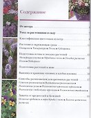 Садовые растения от А до Я - 1