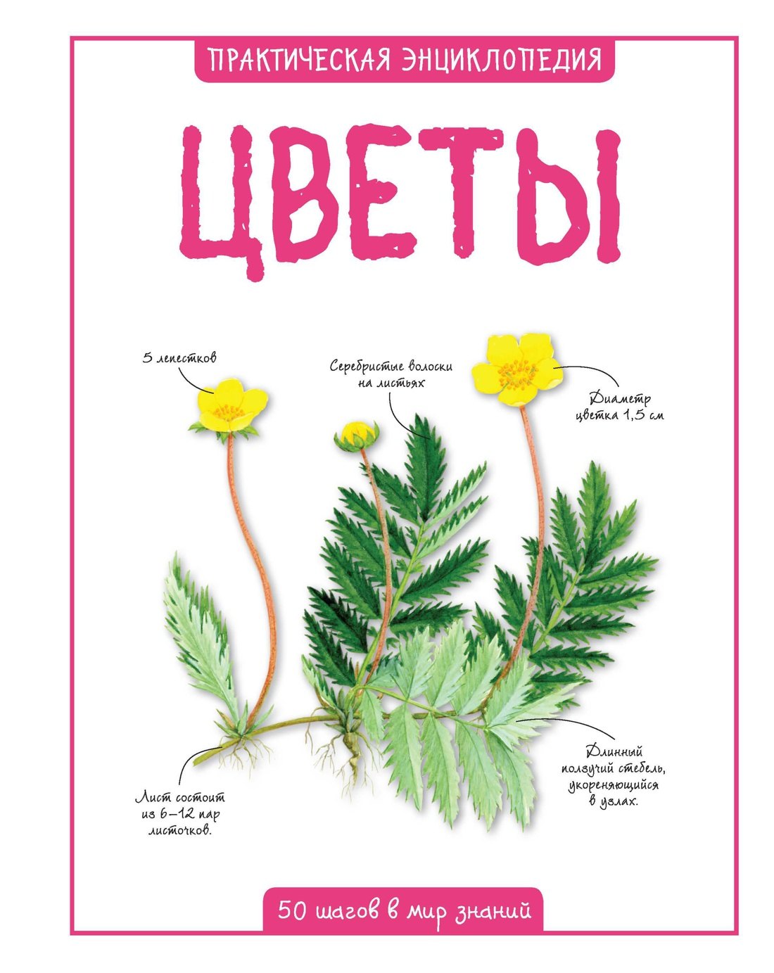 

Цветы
