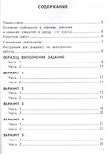 Математика. 1 класс. Всероссийская проверочная работа. Типовые тестовые задания. 10 вариантов заданий - 1