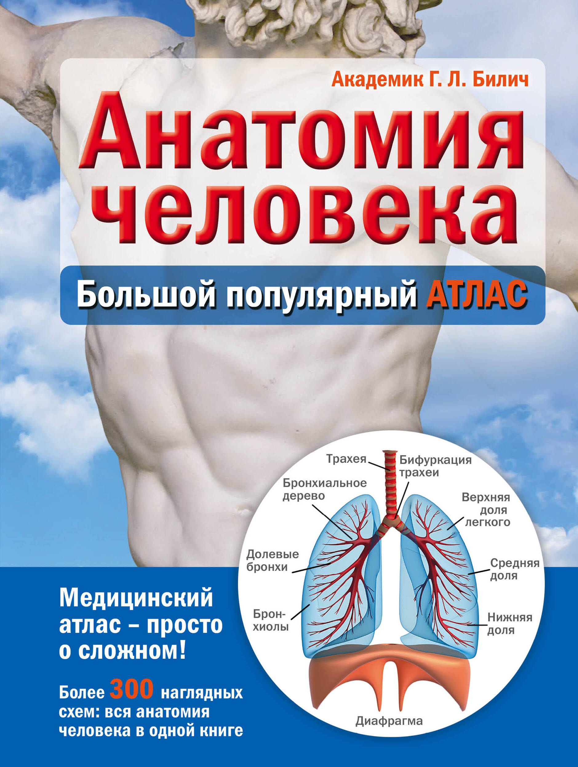 

Анатомия человека: большой популярный атлас