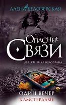 Один вечер в Амстердаме: роман