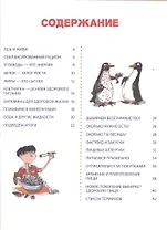 Все о моем здоровье: как правильно и вкусно питаться, чтобы быть здоровым, умным и красивым