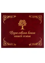 Родословная книга нашей семьи