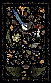 Книга для записей А5 80л «Лес Selcha Uni»